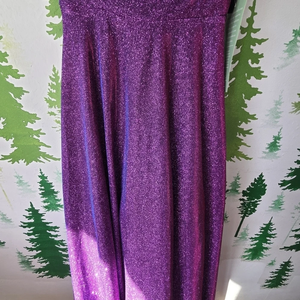 Elegant A-line Purple Glitter Dress
